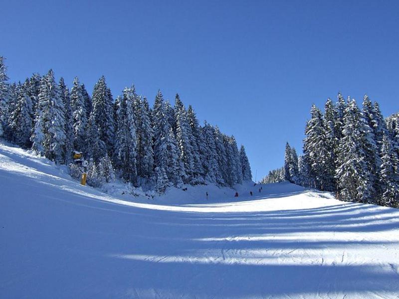 L&N Apartmani Kopaonik-Milmari Resort ภายนอก รูปภาพ