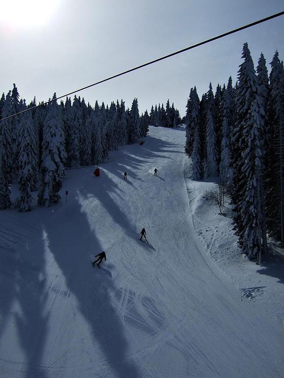 L&N Apartmani Kopaonik-Milmari Resort ภายนอก รูปภาพ